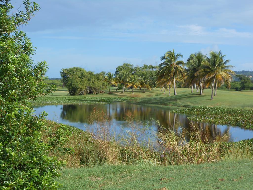 Villa Sans-Souci Lowlands Extérieur photo